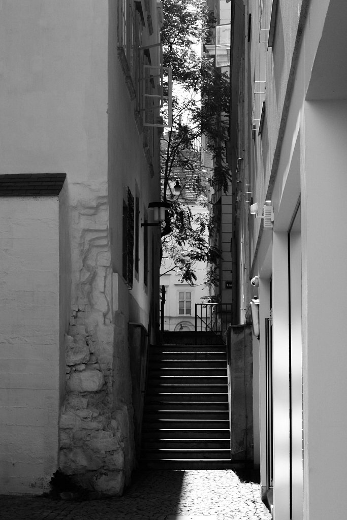 Vienna, 2012
