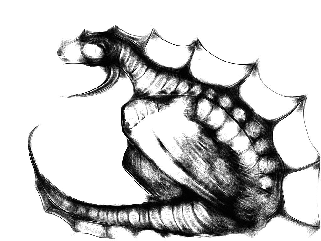 Dragons are awesome