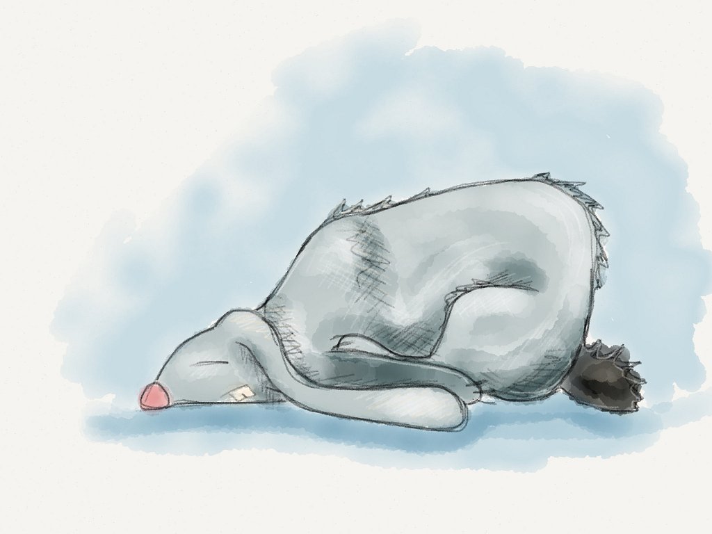 Narcoleptic bunny