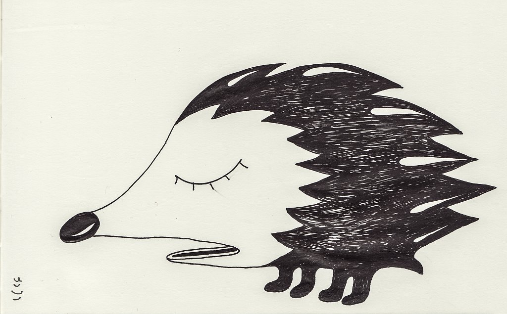 Of bitter taste and sleepiness