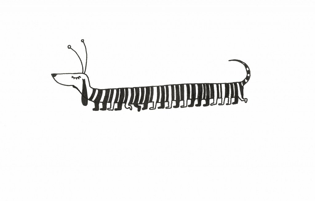 Centipede Dachshund